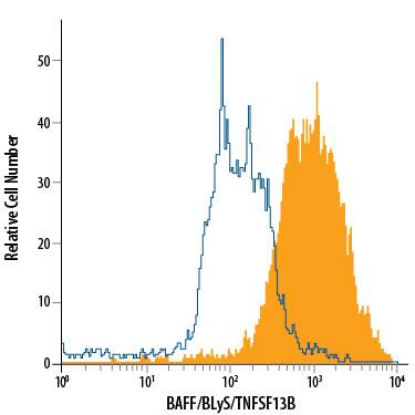 Detection of BAFF/BLyS/TNFSF13B antibody in Human PBMCs antibody by Flow Cytometry.