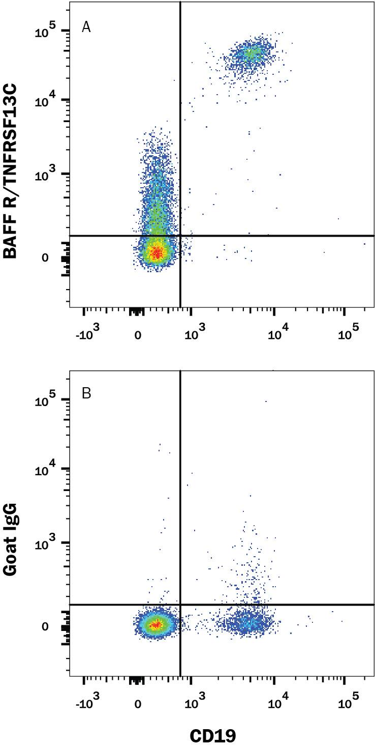 Detection of BAFF R/TNFRSF13C antibody in PBMCs antibody by Flow Cytometry.