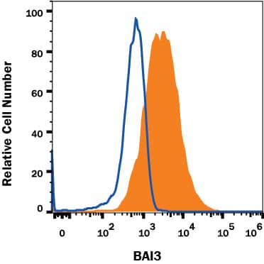 Detection of BAI3 antibody in SHSY-5Y Human Neuroblastoma Cell Line