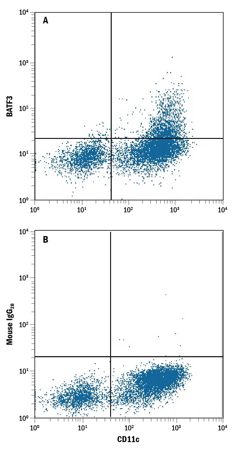 Detection of BATF3 antibody in Human (PBMC) Monocytes antibody by Flow Cytometry.