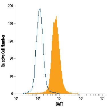 Detection of BATF antibody in Raji Human Cell Line antibody by Flow Cytometry.