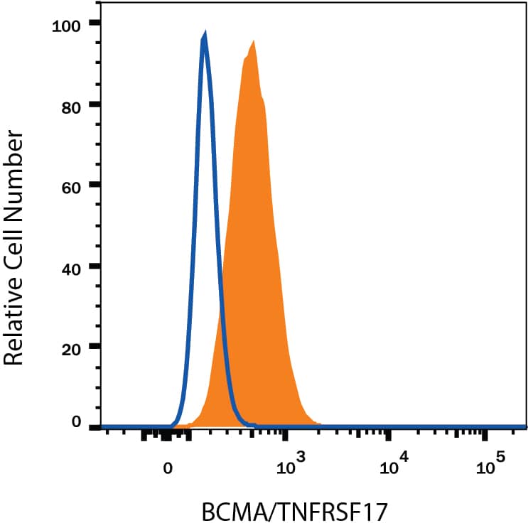 Detection of BCMA/TNFRSF17 antibody in RPMI 8226 Human Cell Line antibody by Flow Cytometry.