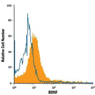 Detection of BDNF antibody in U-87 MG Human Cell Line antibody by Flow Cytometry.