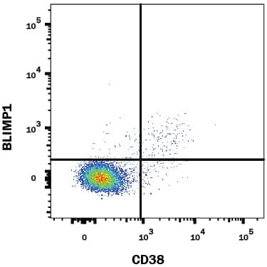 Detection of BLIMP1/PRDM1 antibody in Human PBMCs antibody by Flow Cytometry.