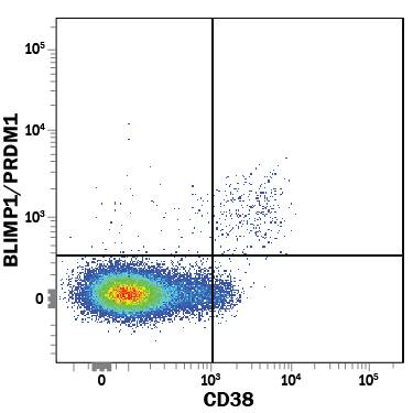 Detection of BLIMP1/PRDM1 antibody in Human PBMCs antibody by Flow Cytometry.