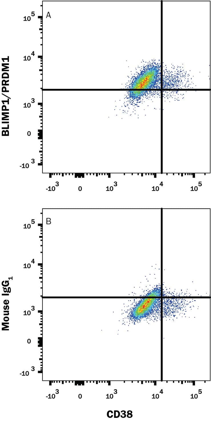 Detection of BLIMP1/PRDM1 antibody in U266 Human Cell Line antibody by Flow Cytometry.