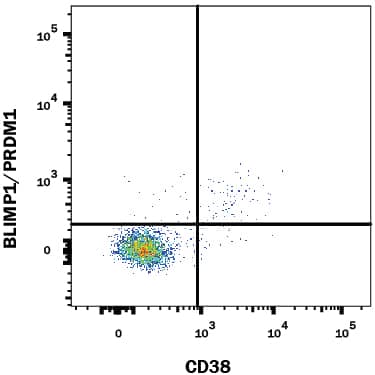 Detection of BLIMP1/PRDM1 antibody in Human PBMCs gated on CD19+CD3-cells antibody by Flow Cytometry.