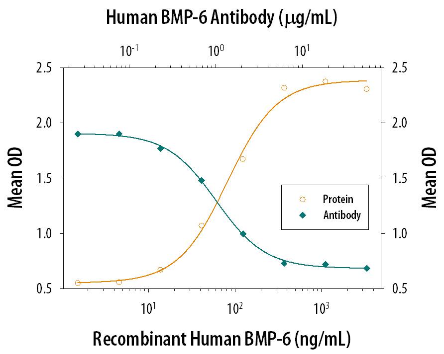 Alkaline Phosphatase Production Induced by BMP-6 and Neutralization by Human BMP-6 Antibody.