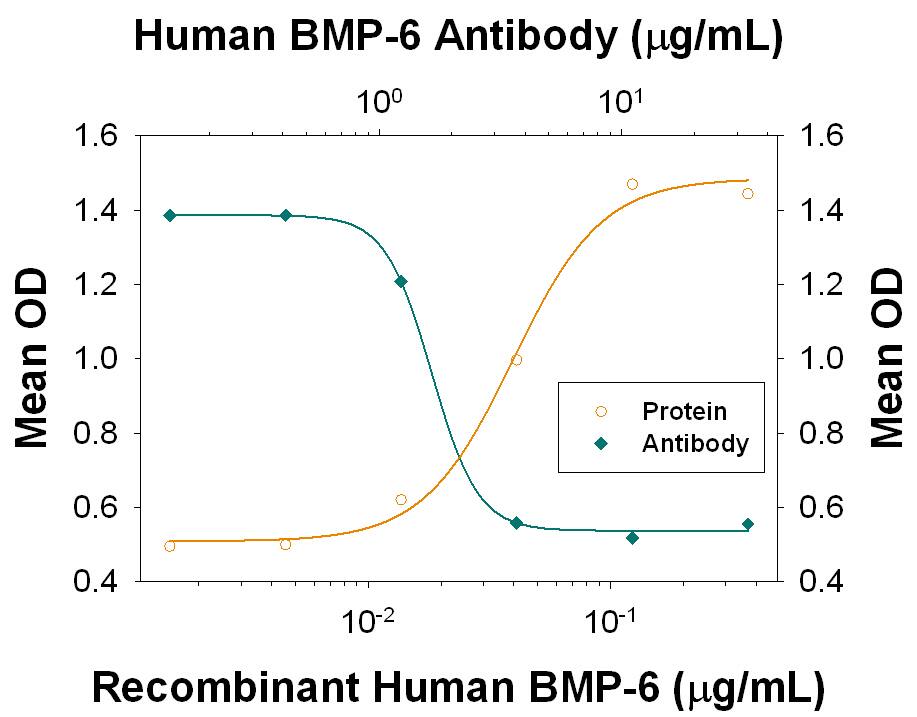 Alkaline Phosphatase Production Induced by BMP‑6 and Neutralization by Human BMP‑6 Antibody.