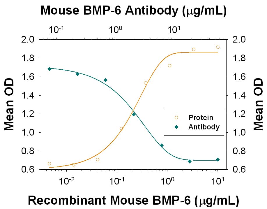 Alkaline Phosphatase Production Induced by BMP-6 and Neutralization by Mouse BMP-6 Antibody.