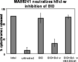 Bcl-w Inhibition of BID-induced Release of Cytochrome c and Neutralization by BCL-w Antibody.