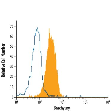 Detection of Brachyury antibody in D3 Mouse Cell Line antibody by Flow Cytometry.