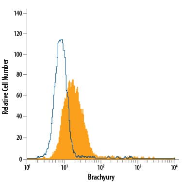 Detection of Brachyury antibody in D3 Mouse Cell Line antibody by Flow Cytometry.