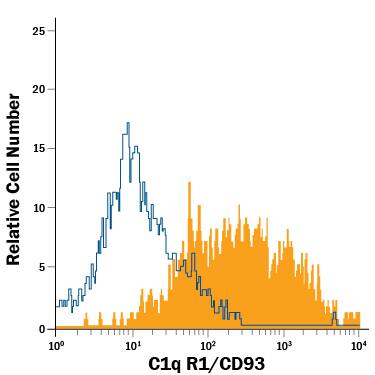 Detection of C1q R1/CD93 antibody in bEnd.3 Mouse Cell Line antibody by Flow Cytometry.