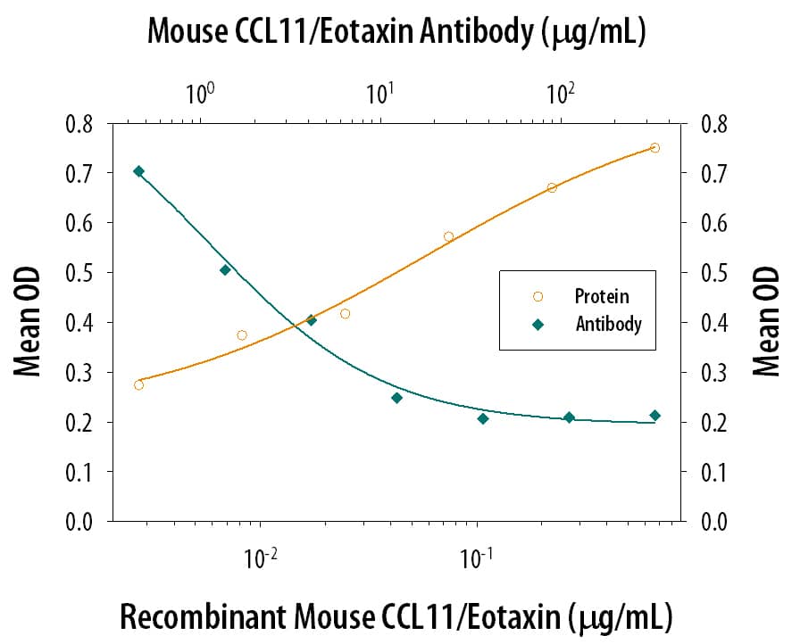 Chemotaxis Induced by CCL11/Eotaxin and Neutralization by Mouse CCL11/Eotaxin Antibody.