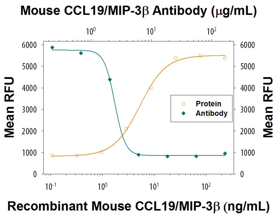 Chemotaxis Induced by CCL19/MIP-3 beta and Neutralization by Mouse CCL19/MIP-3 beta Antibody.