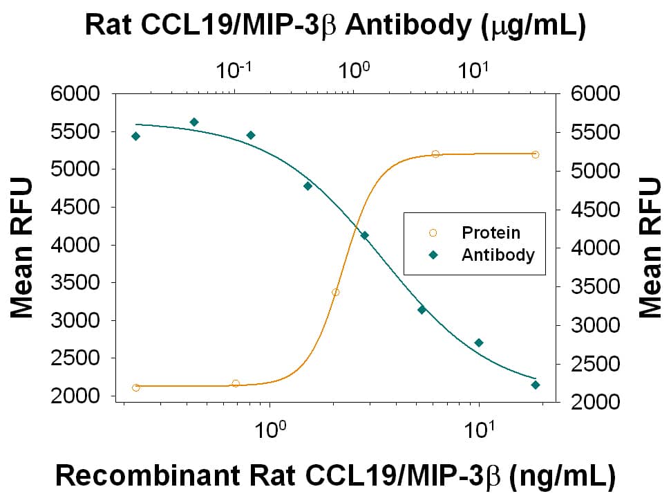 Chemotaxis Induced by CCL19/MIP‑3 beta and Neutralization by Rat CCL19/MIP‑3 beta Antibody.