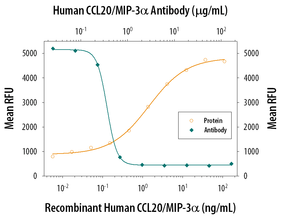 Chemotaxis Induced by CCL20/MIP-3 alpha and Neutralization by Human CCL20/MIP-3 alpha Antibody.