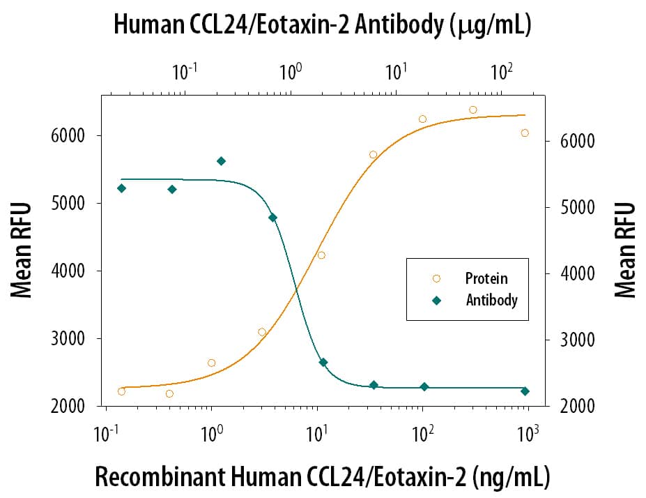 Chemotaxis Induced by CCL24/Eotaxin‑2 and Neutralization by Human CCL24/Eotaxin‑2 Antibody.