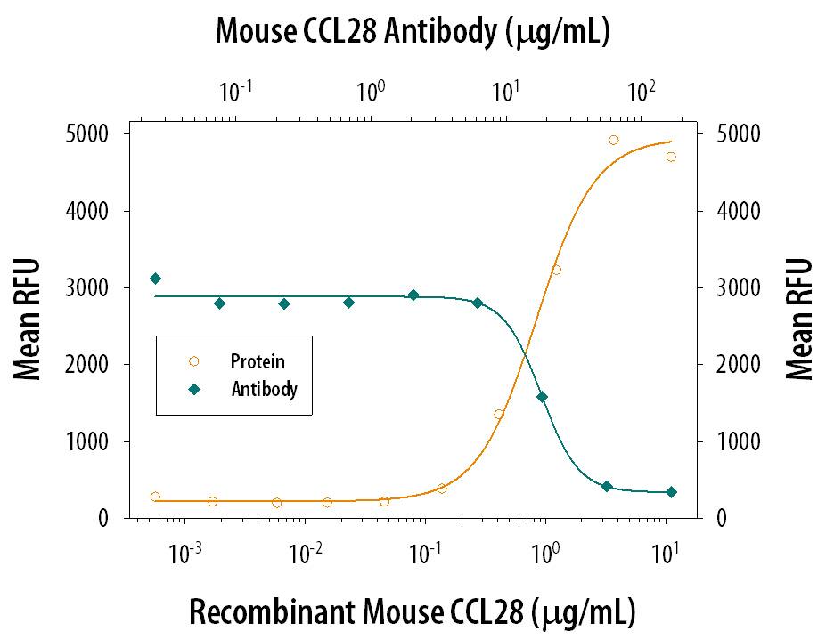 Chemotaxis Induced by CCL28 and Neutralization by Mouse CCL28 Antibody.