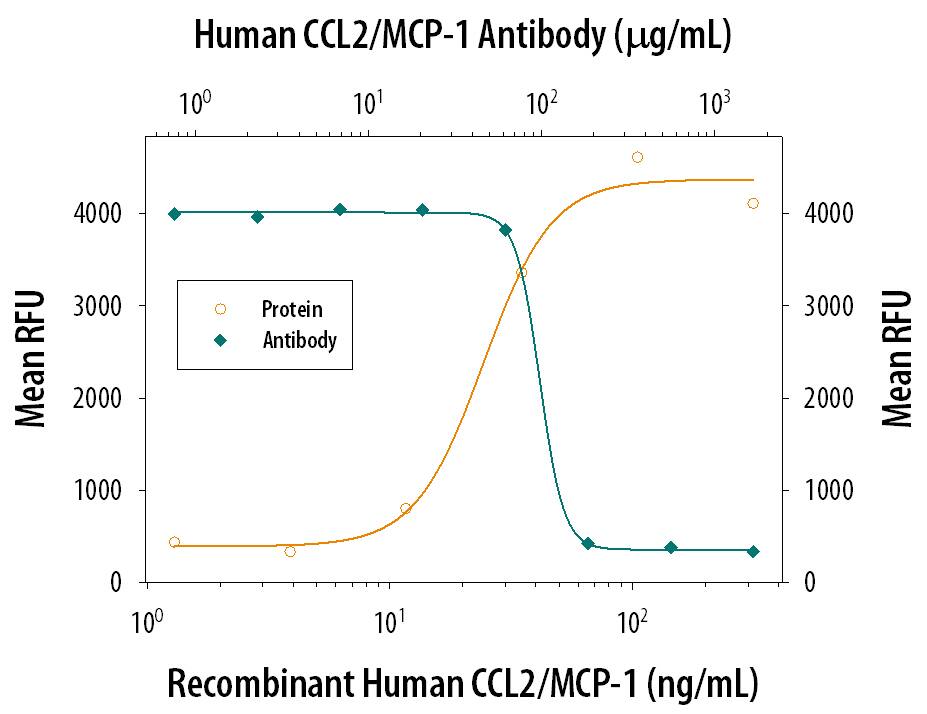 Chemotaxis Induced by CCL2/MCP‑1 and Neutral-ization by Human CCL2/ MCP‑1 Antibody.