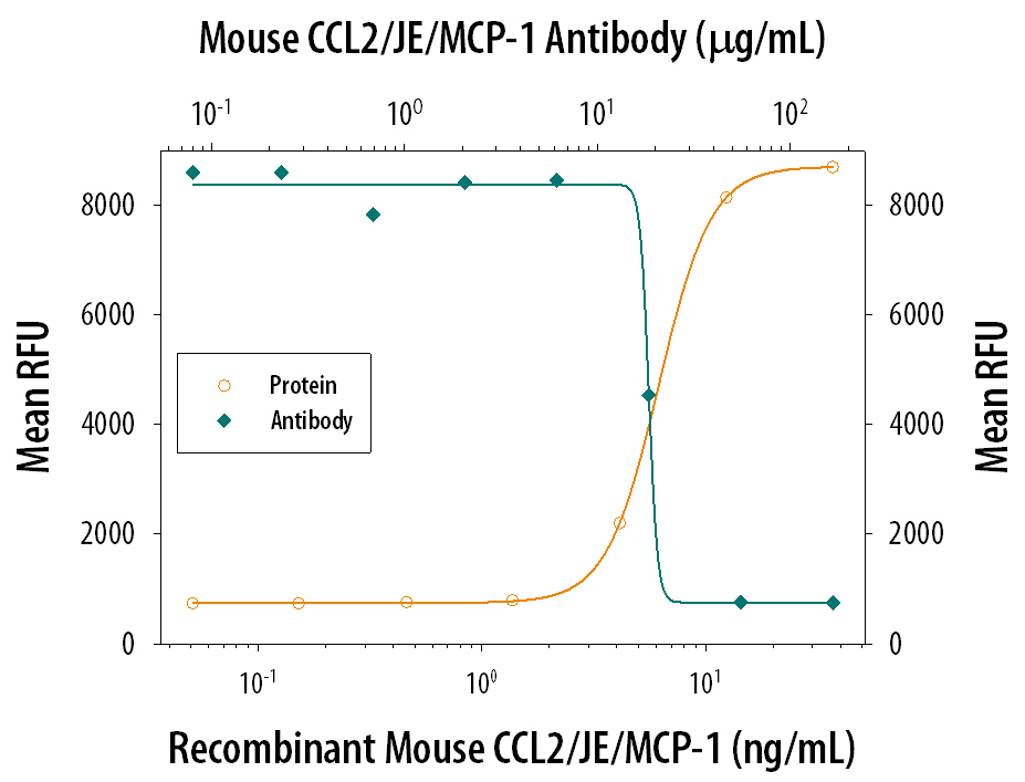 Chemotaxis Induced by CCL2/JE/MCP‑1 and Neutral-ization by Mouse CCL2/JE Antibody.