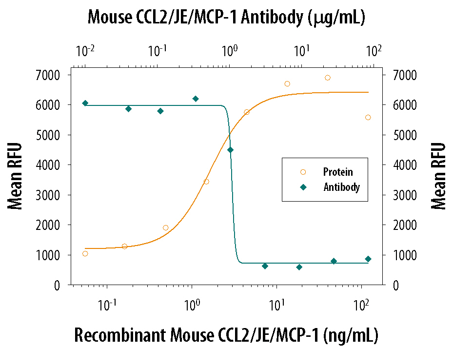 Chemotaxis Induced by CCL2/JE and Neutralization by Mouse CCL2/JE Antibody.