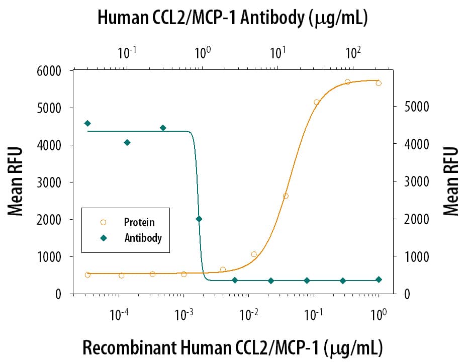 Chemotaxis Induced by CCL2/JE/MCP‑1 and Neutralization by Human CCL2/JE/MCP‑1 Antibody.