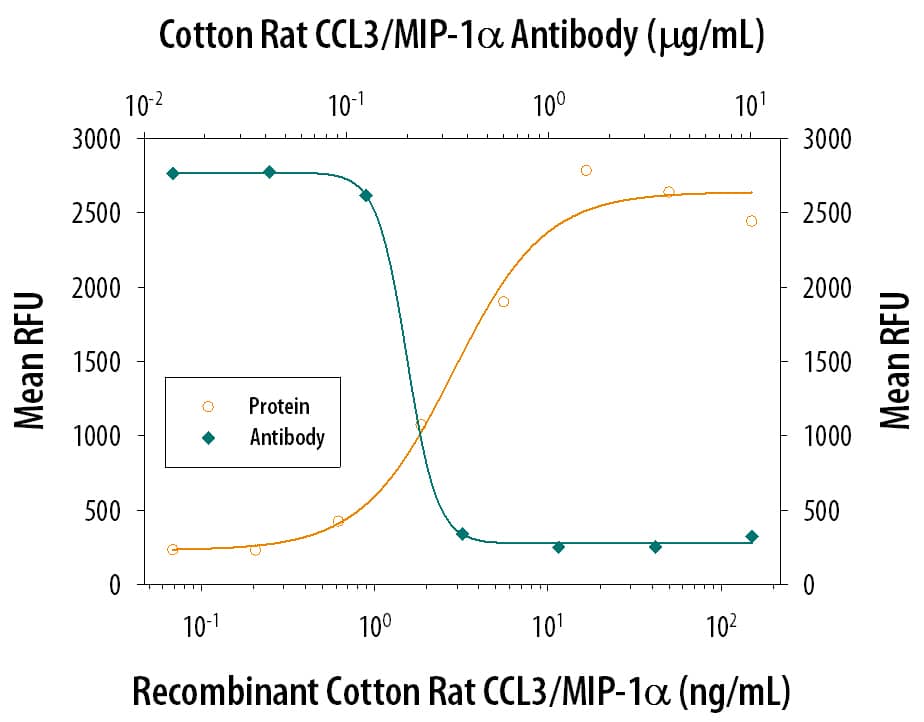 Chemotaxis Induced by CCL3/MIP‑1 alpha and Neutral-ization by Cotton Rat CCL3/MIP‑1 alpha Antibody.