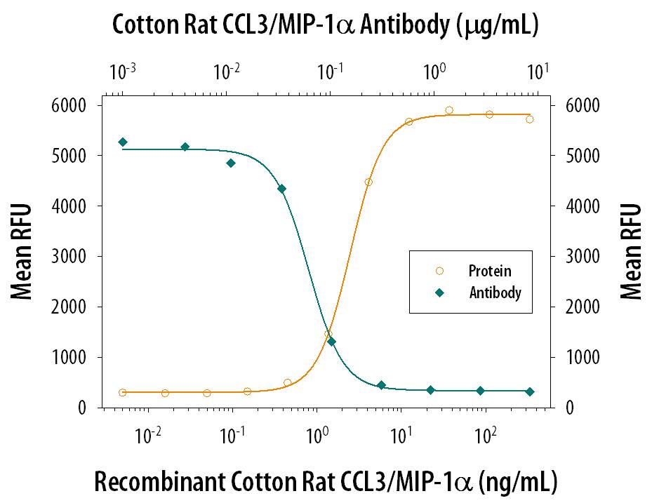 Chemotaxis Induced by CCL3/MIP-1 alpha and Neutralization by Cotton Rat CCL3/MIP-1 alpha Antibody.