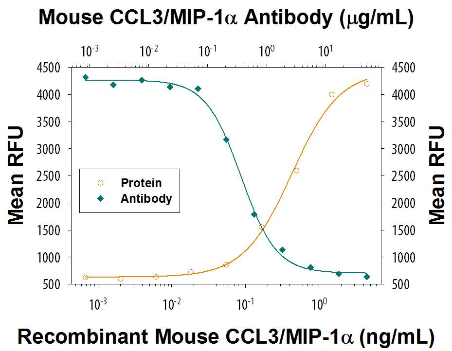 Chemotaxis Induced by CCL3/MIP-1 alpha and Neutralization by Mouse CCL3/MIP-1 alpha Antibody.