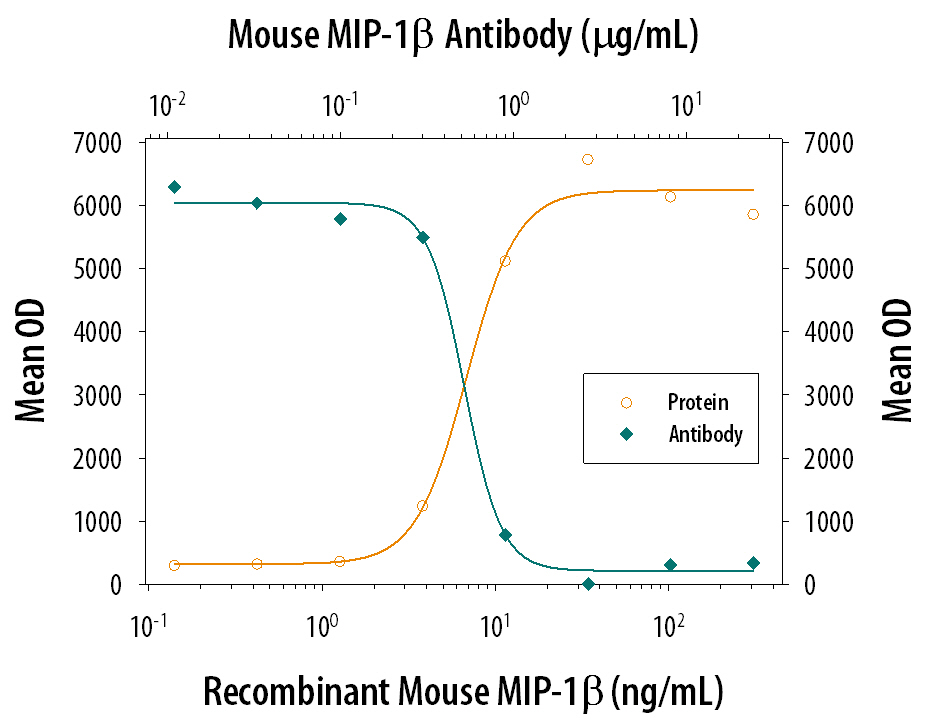 Chemotaxis Induced by CCL4/MIP‑1 beta and Neutral-ization by Mouse CCL4/ MIP‑1 beta Antibody.