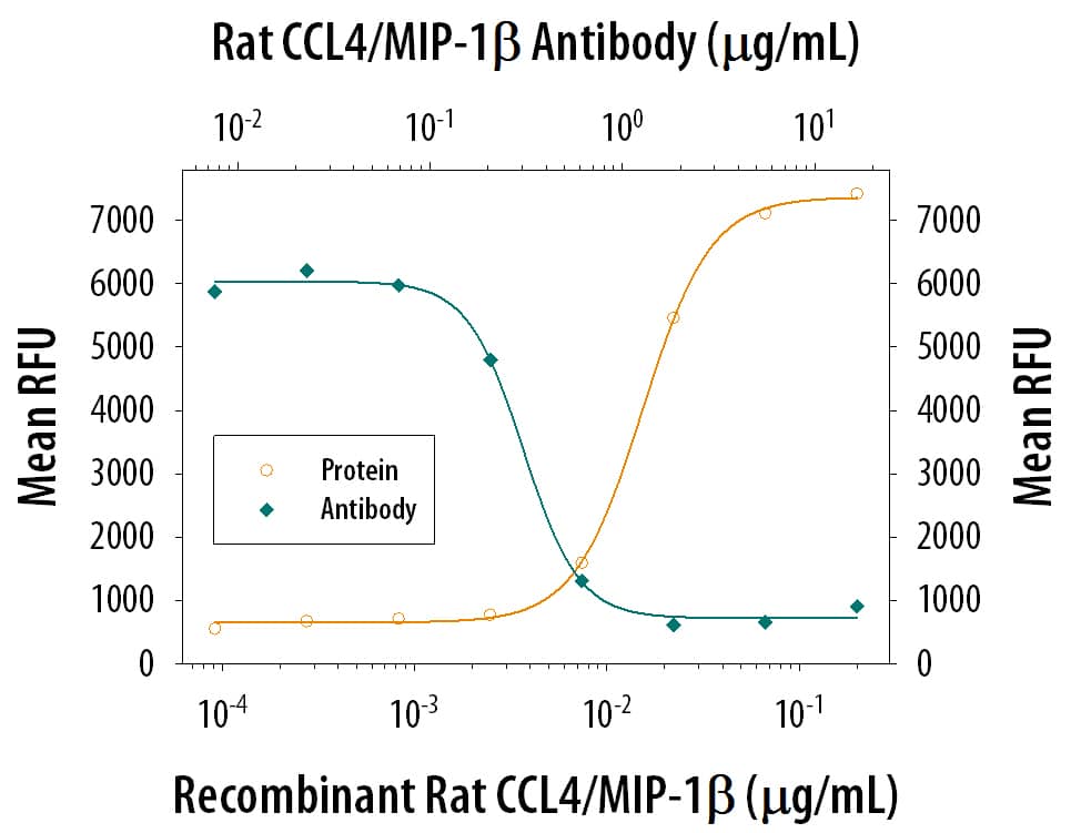 Chemotaxis Induced by CCL4/MIP‑1 beta and Neutralization by Rat CCL4/MIP‑1 beta Antibody.
