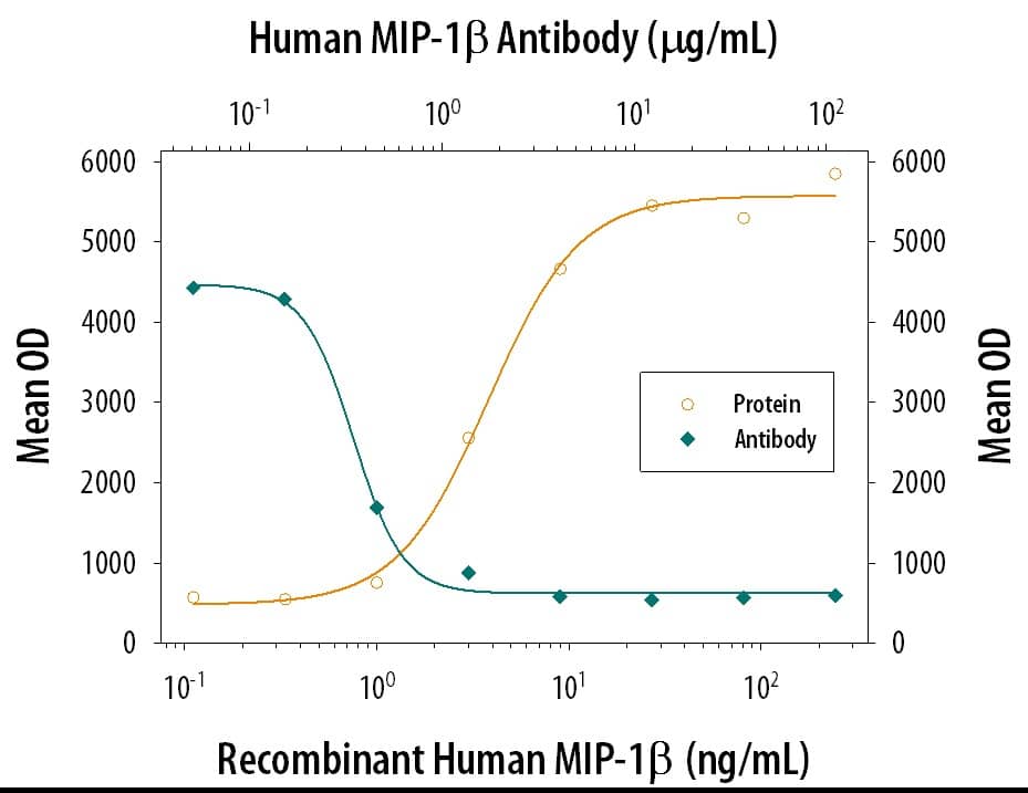 Chemotaxis Induced by CCL4/MIP-1 beta and Neutralization by Human CCL4/MIP-1 beta Antibody.