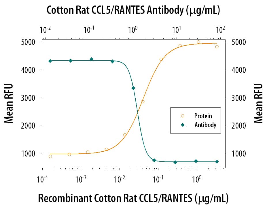 Chemotaxis Induced by CCL5/RANTES and Neutralization by Cotton Rat CCL5/RANTES Antibody.