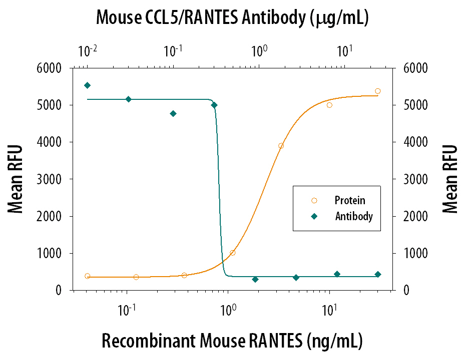 Chemotaxis Induced by CCL5/RANTES and Neutralization by Mouse CCL5/RANTES Antibody.