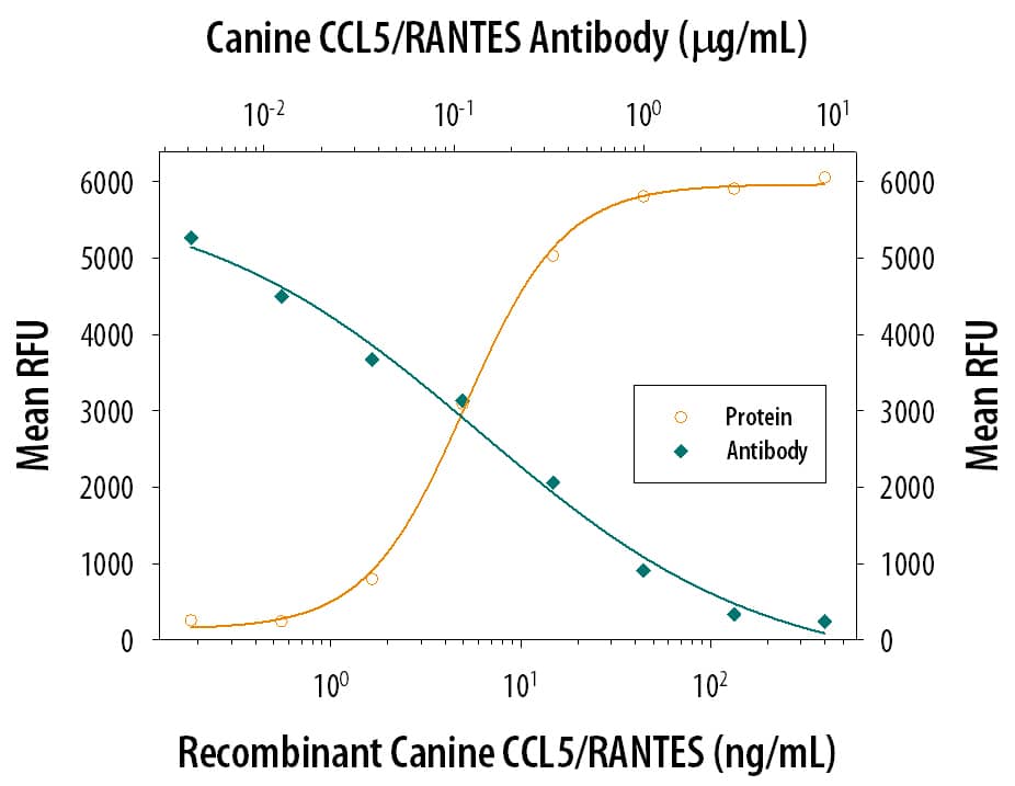 Chemotaxis Induced by CCL5/RANTES and Neutralization by Canine CCL5/RANTES Antibody.