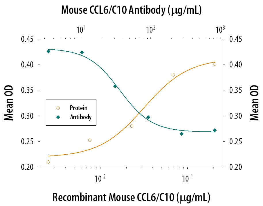 Chemotaxis Induced by CCL6/C10 and Neutralization by Mouse CCL6/C10 Antibody.