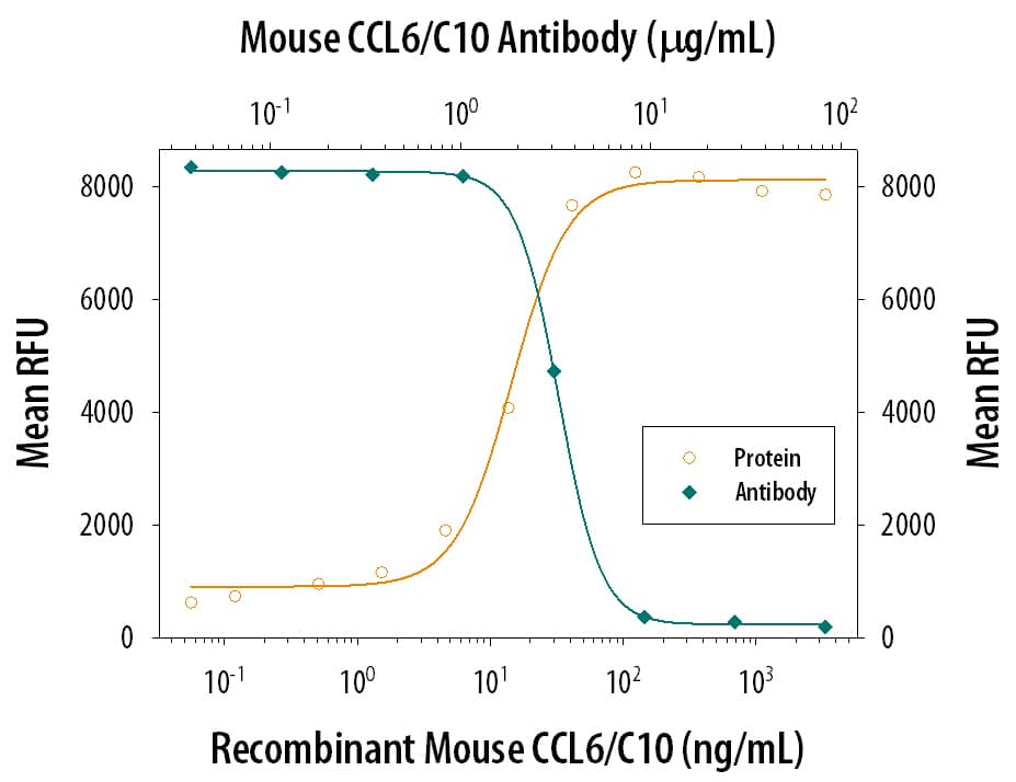 Chemotaxis Induced by CCL6/C10 and Neutralization by Mouse CCL6/C10 Antibody.