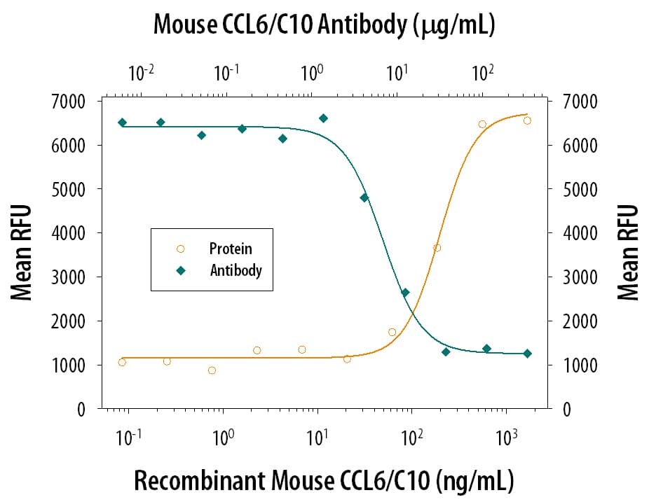 Chemotaxis Induced by CCL6/C10 and Neutral-ization by Mouse CCL6/C10 Antibody.