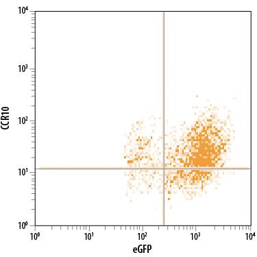 Detection of CCR10 antibody in BaF3 Mouse Cell Line Transfected with CCR10 and eGFP antibody by Flow Cytometry.