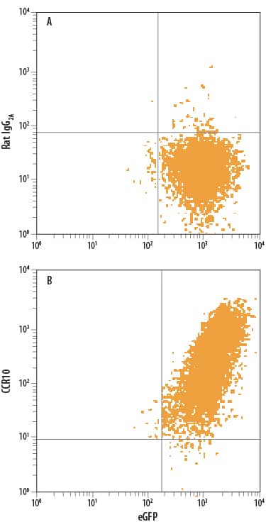 Detection of CCR10 antibody in L1.2 Mouse Cell Line Transfected with Human CCR10 and eGFP antibody by Flow Cytometry.