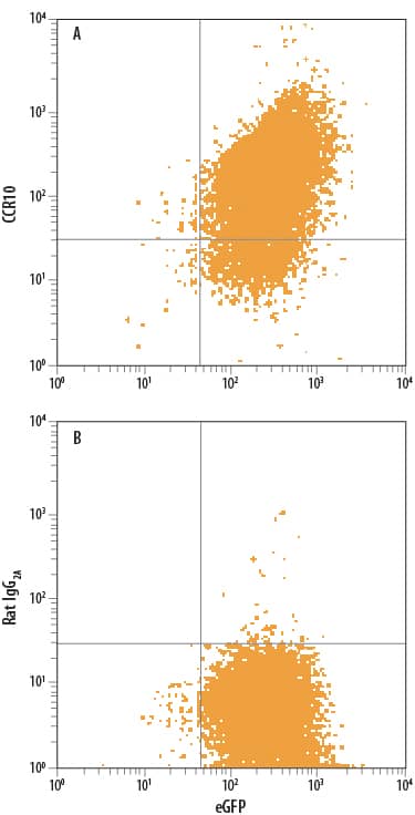 Detection of CCR10 antibody in L1.2 Mouse Cell Line Transfected with Human CCR10 and eGFP antibody by Flow Cytometry.