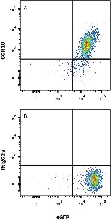 Detection of CCR10 antibody in HEK293 Human Cell Line Transfected with Human CCR10 and eGFP antibody by Flow Cytometry.