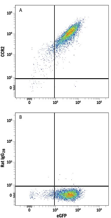 Detection of CCR2 antibody in NS0 Mouse Cell Line Transfected with Mouse CCR2 and eGFP antibody by Flow Cytometry.