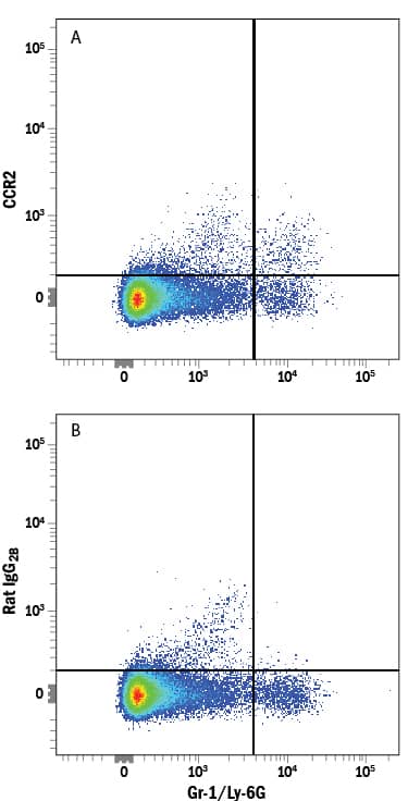 Detection of CCR2 antibody in Mouse Splenocytes antibody by Flow Cytometry.