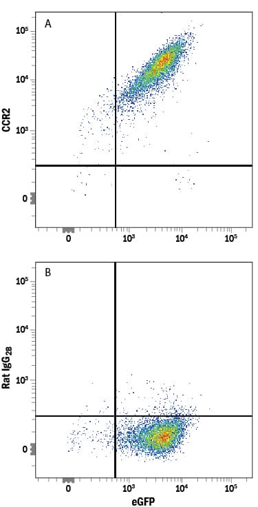 Detection of CCR2 antibody in NS0 Mouse Cell Line Transfected with Mouse CCR2 and eGFP antibody by Flow Cytometry.