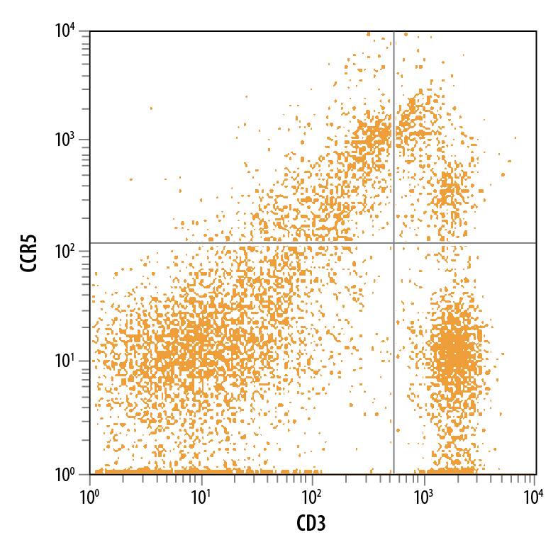 Detection of CCR5 antibody in Rat Splenocytes antibody by Flow Cytometry.