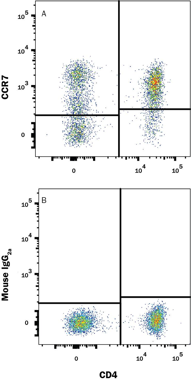 Detection of CCR7 antibody in Human Blood Lymphocytes antibody by Flow Cytometry.