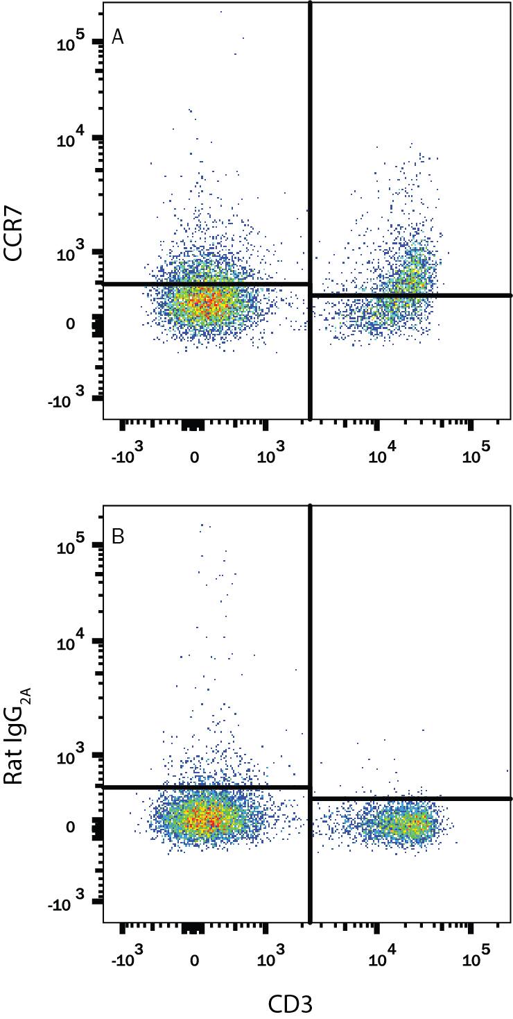 Detection of CCR7 antibody in Mouse Splenoctyes antibody by Flow Cytometry.